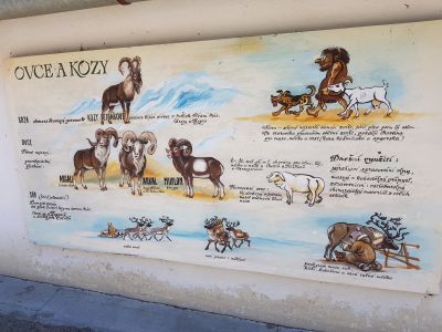 ZOO PARK Vyškov