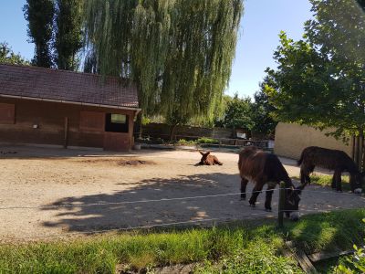 ZOO PARK Vyškov