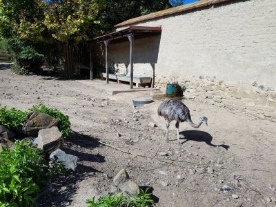 ZOO PARK Vyškov