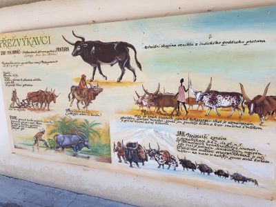 ZOO PARK Vyškov